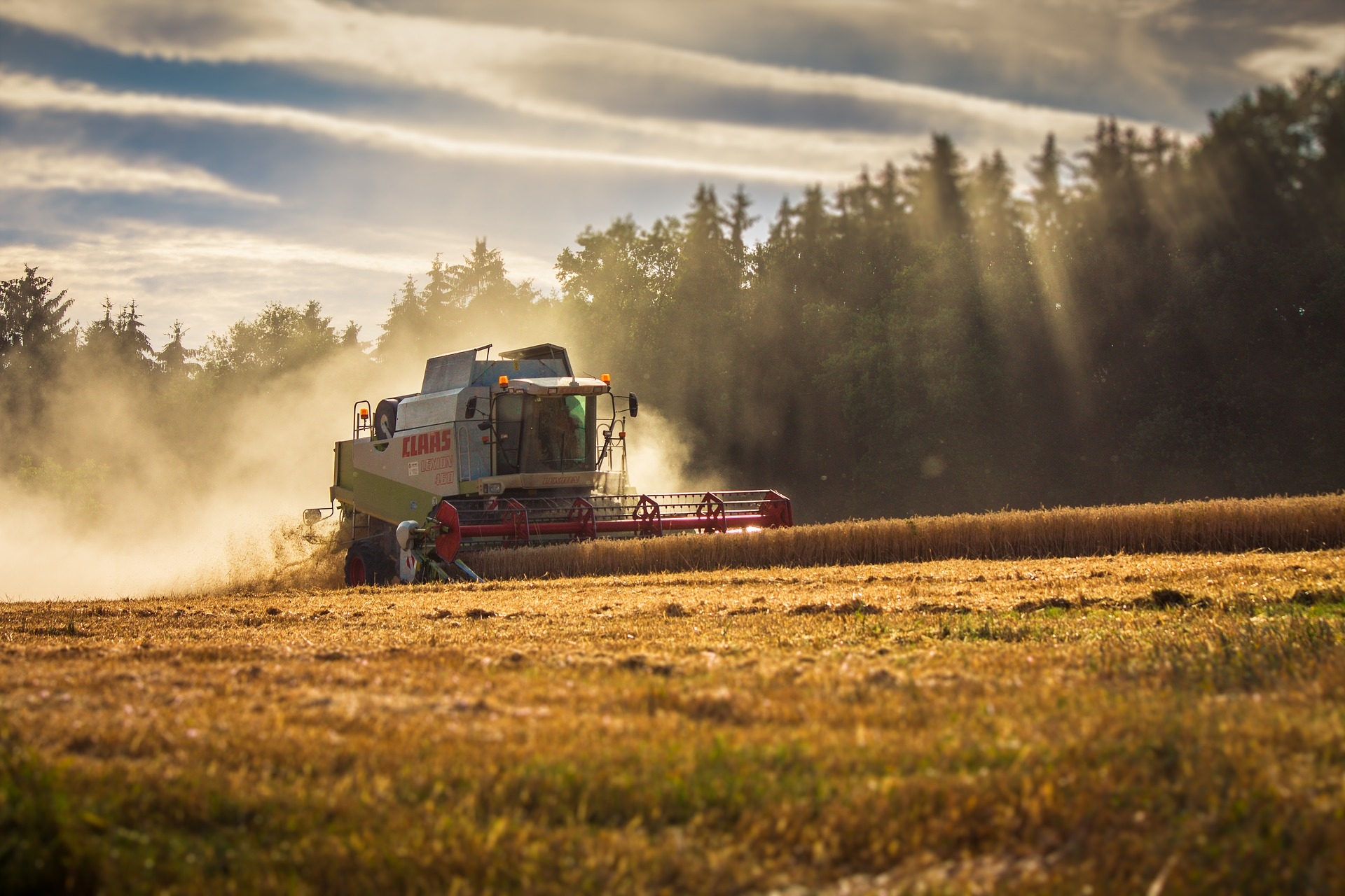 Mähdrescher auf einem Feld