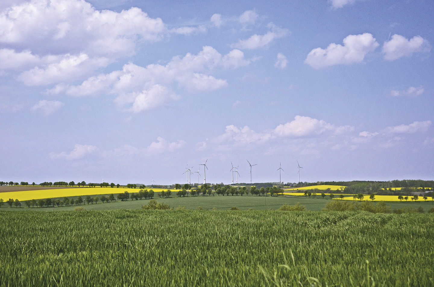 Landschaft in Brandenburg