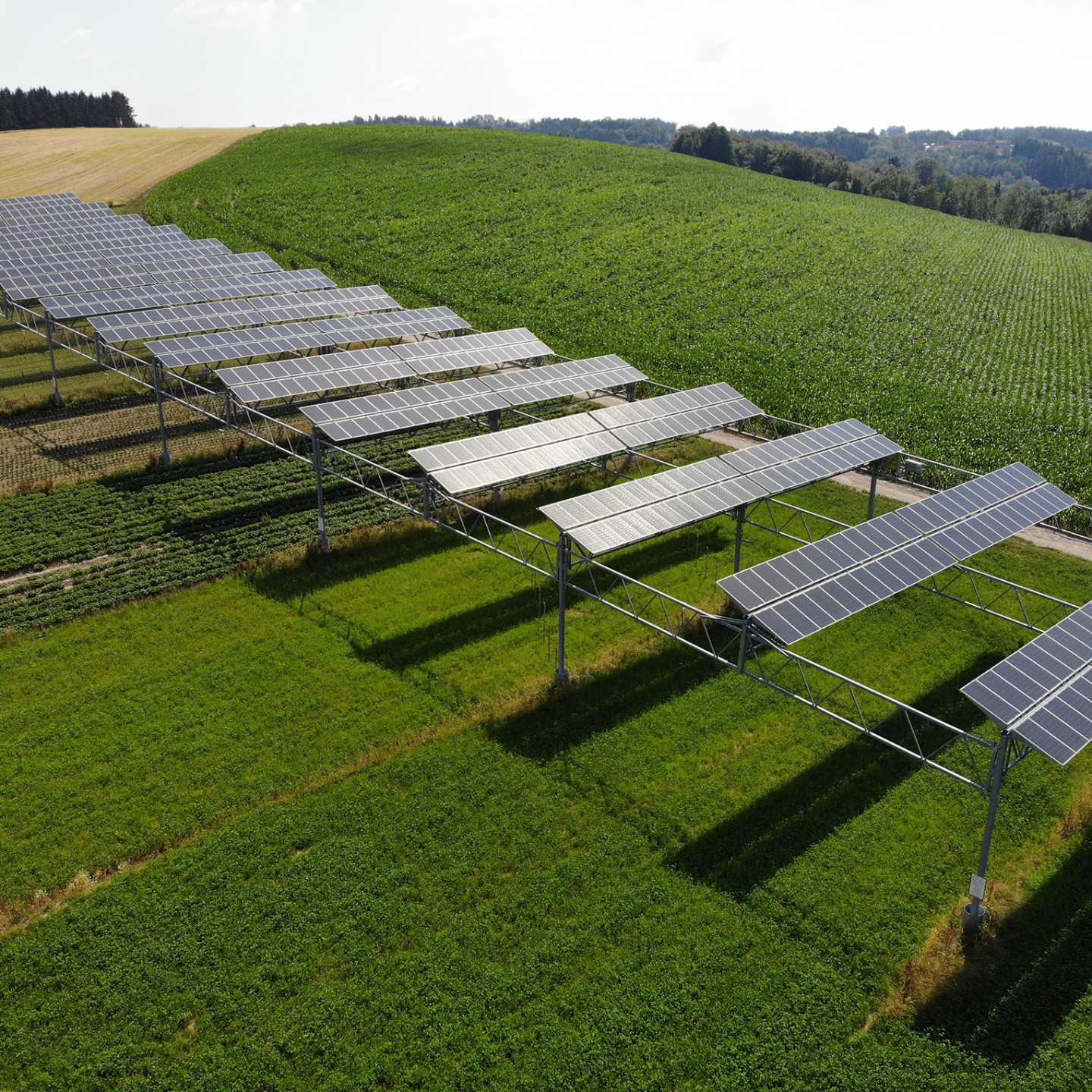 Agri-PV | Anlage Heggelbach