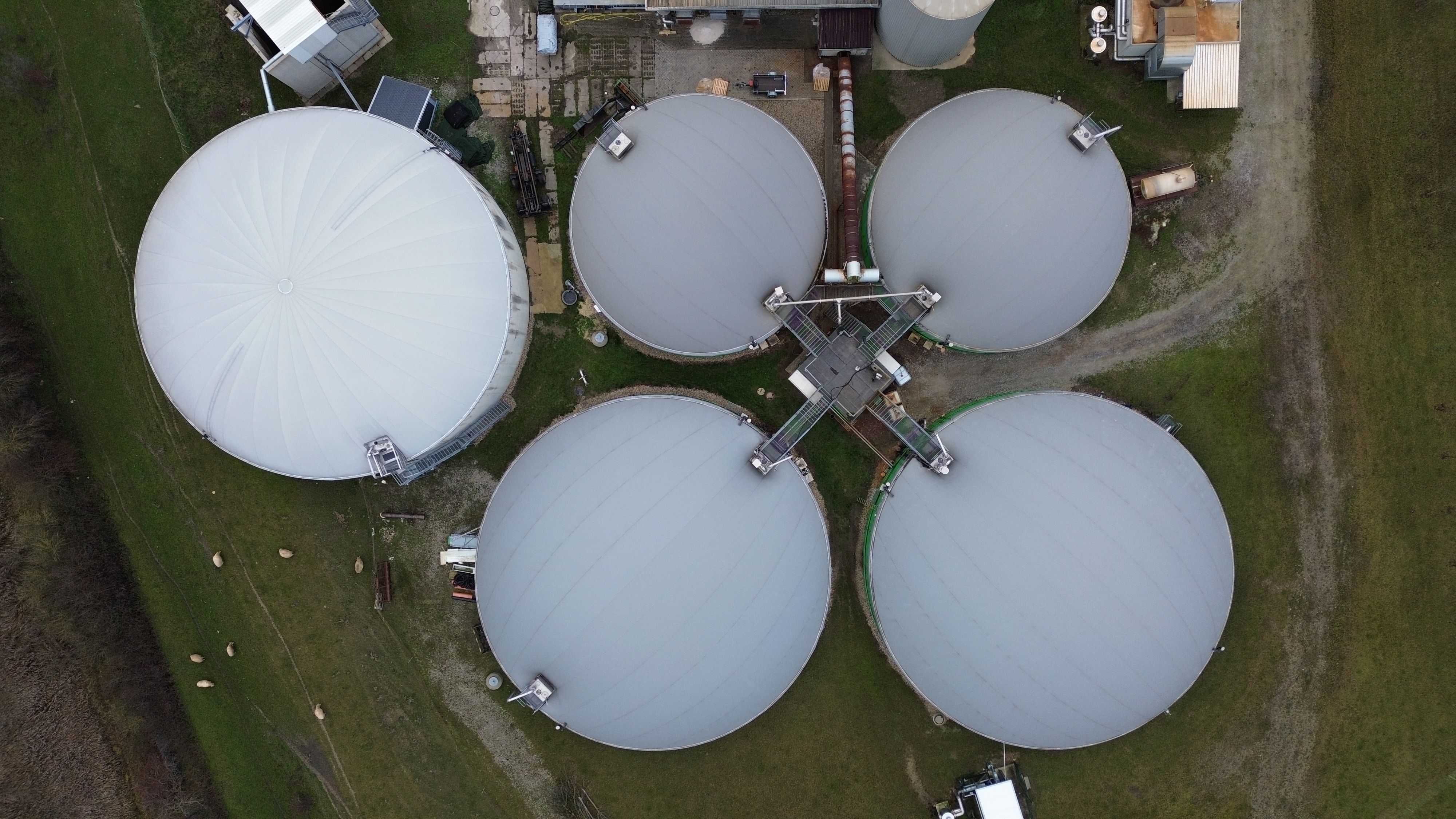 Die neu beschriebenen Bakterien sind in Biogasanlagen allgegenwärtig.