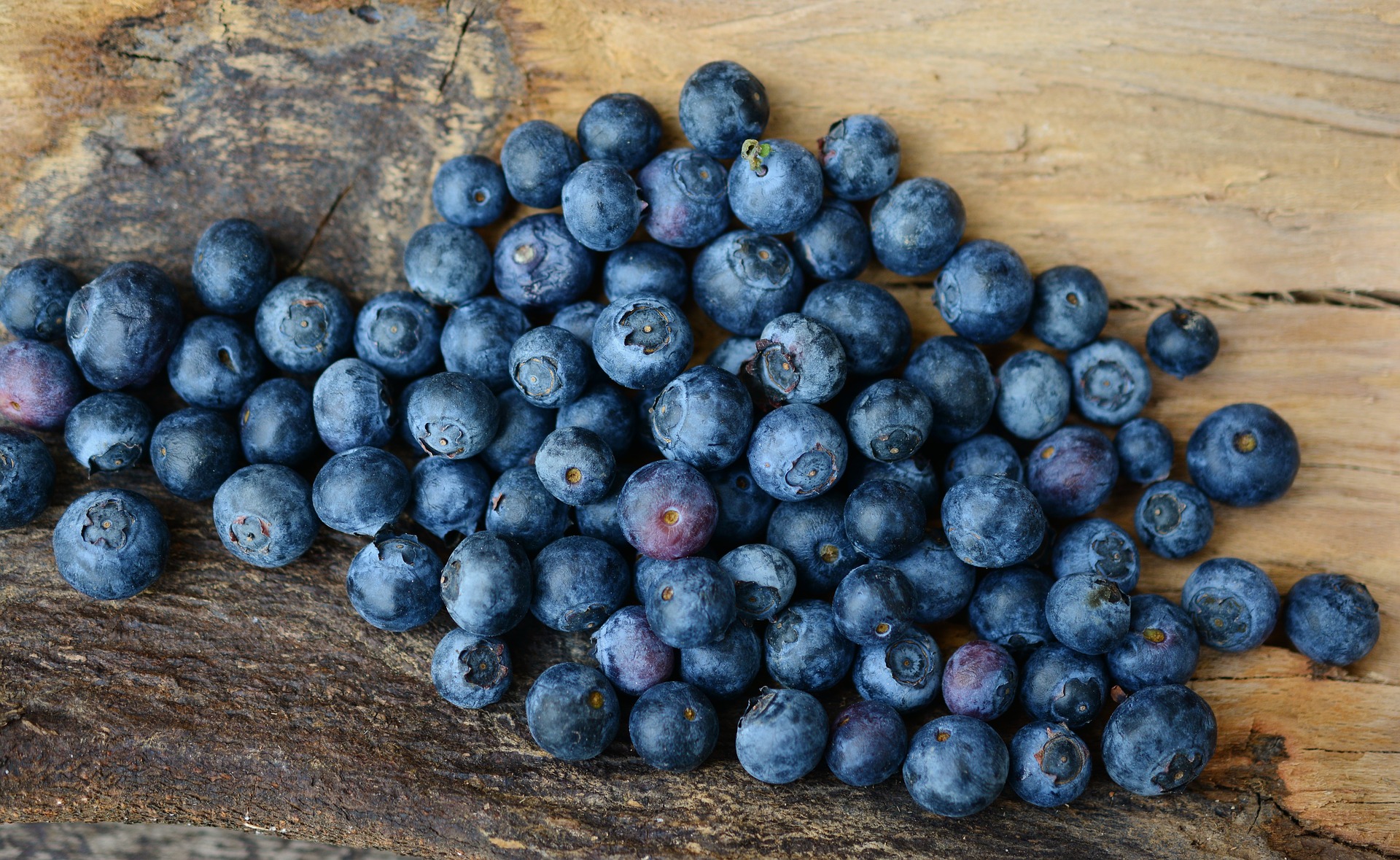 Heidelbeeren