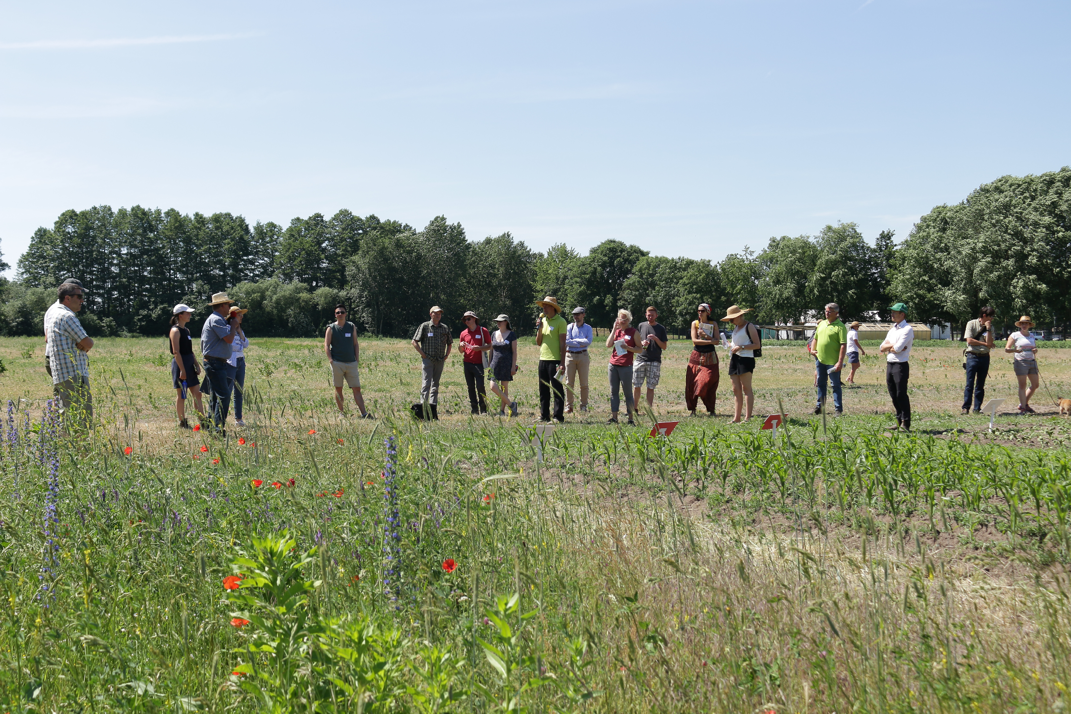 Menschen auf einem Feld