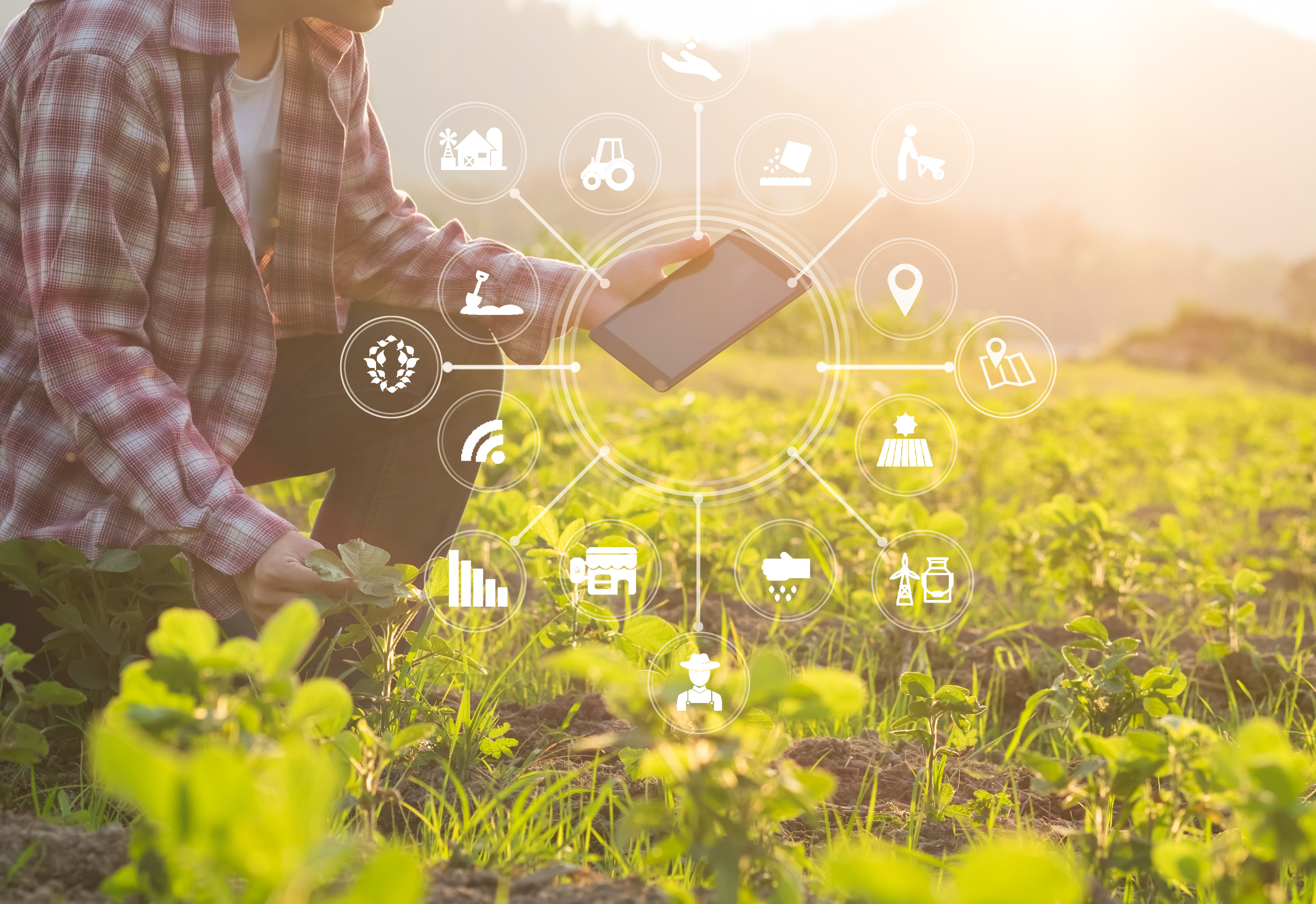 Farmer mit Tablet