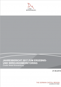 Jahresbericht 2017 zum Ergebnis- und Wirkungsmonitoring 